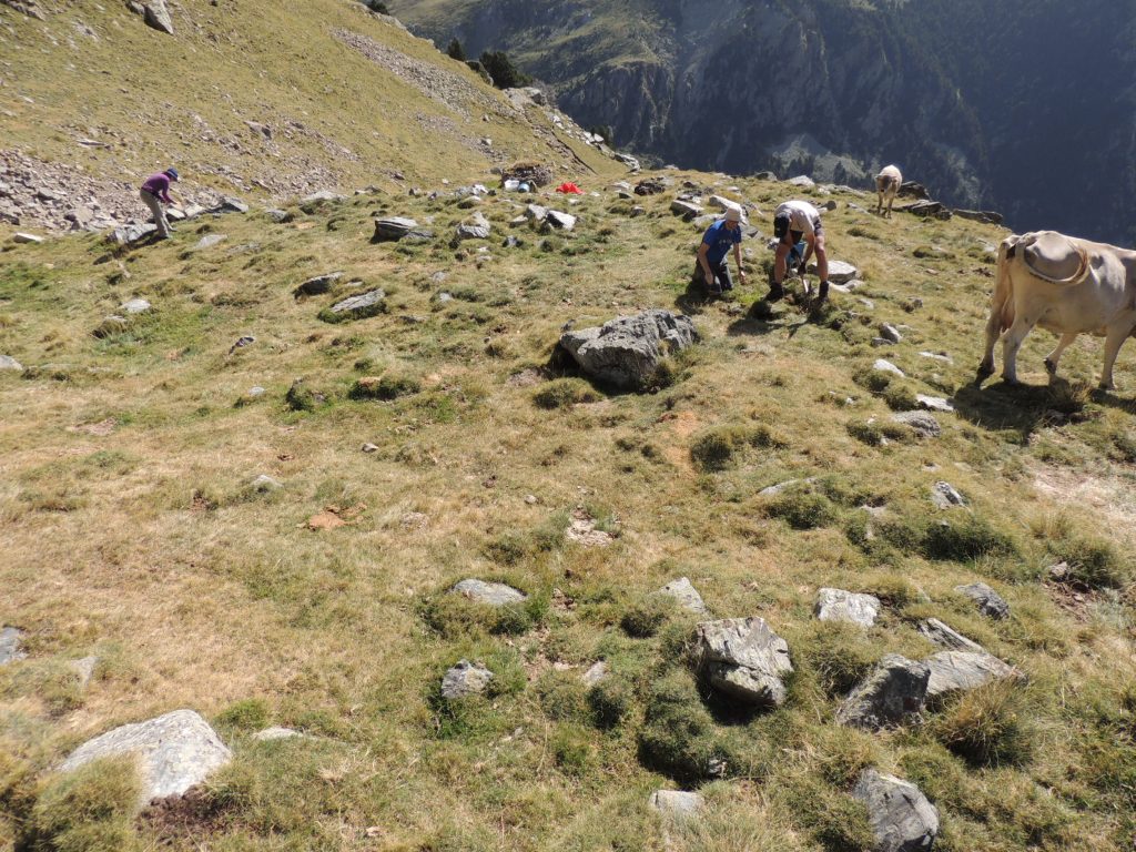 2. Excavacions al tancat del jaciment de la Coma de Gombren