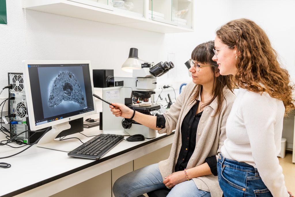 2. Investigadores ICAC_a